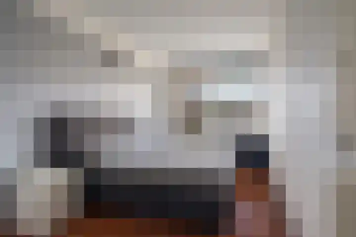 Donizettirode 9 Zoetermeer thumbnail 27