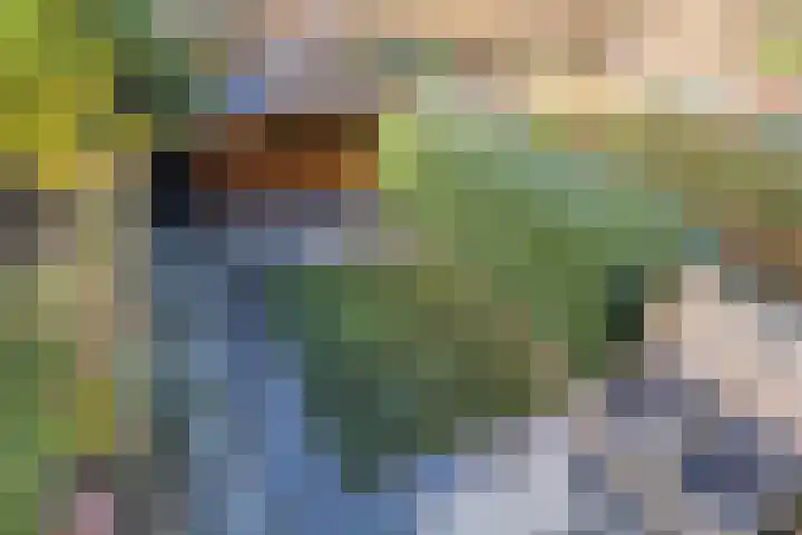 Donizettirode 9 Zoetermeer thumbnail 30