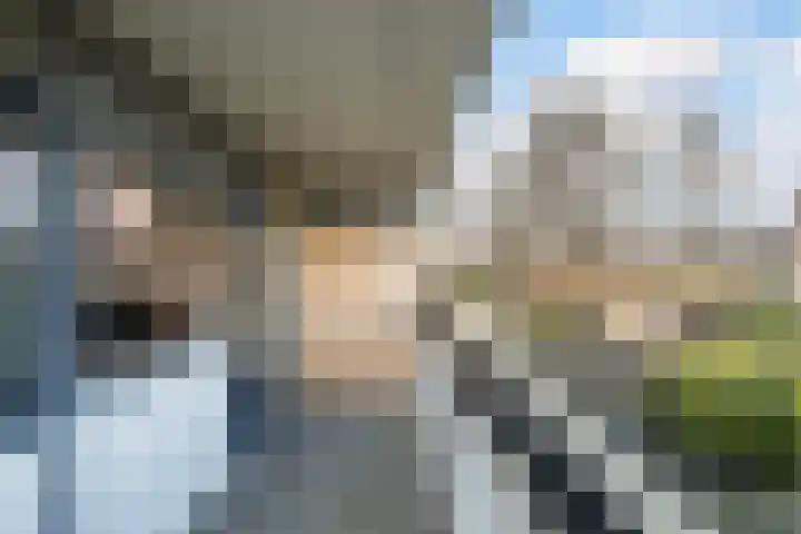 Donizettirode 9 Zoetermeer thumbnail 32