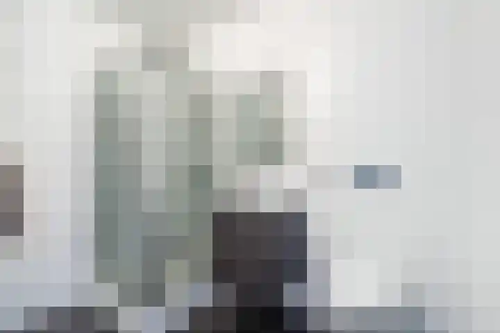 Donizettirode 9 Zoetermeer thumbnail 37