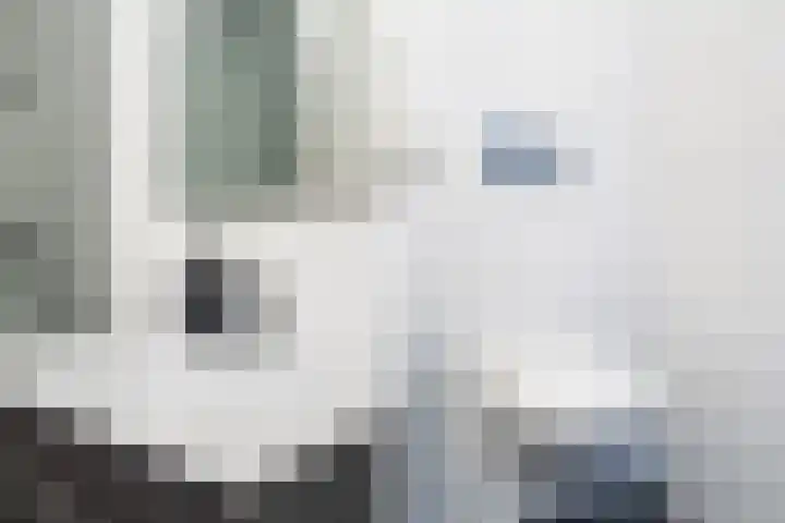 Donizettirode 9 Zoetermeer thumbnail 38