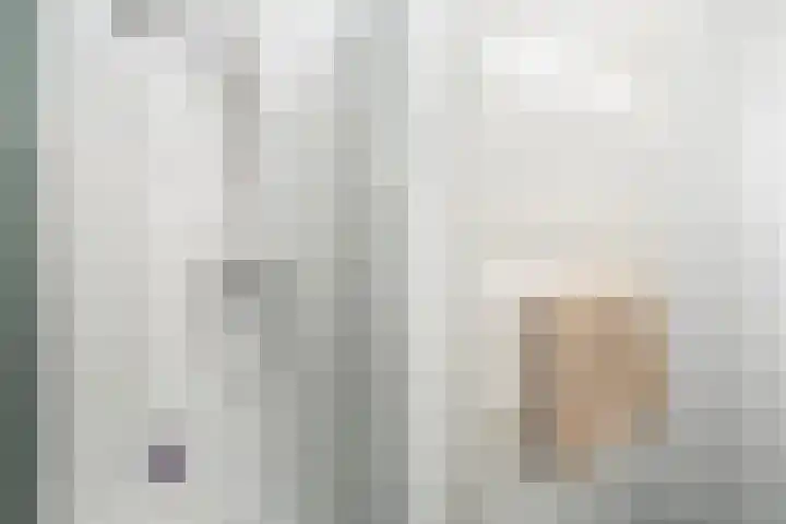 Donizettirode 9 Zoetermeer thumbnail 39