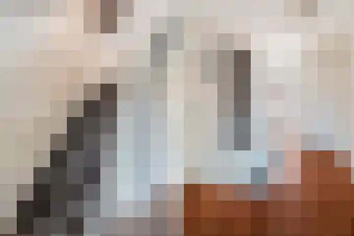 Donizettirode 9 Zoetermeer thumbnail 43