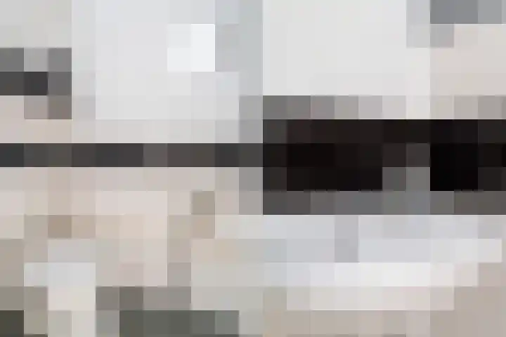 Donizettirode 9 Zoetermeer thumbnail 44