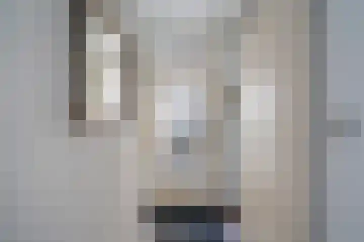 Donizettirode 9 Zoetermeer thumbnail 45