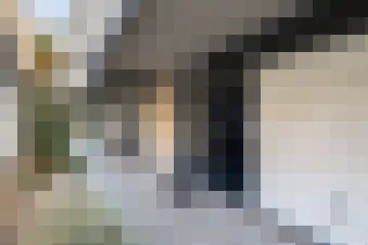Donizettirode 9 Zoetermeer thumbnail 6