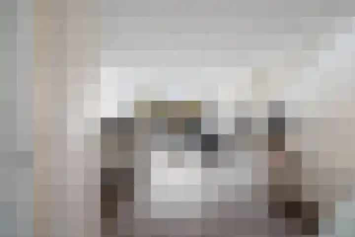 Donizettirode 9 Zoetermeer thumbnail 8