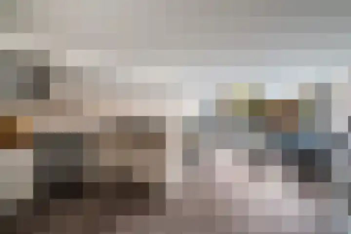 Donizettirode 9 Zoetermeer thumbnail 9