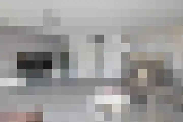 Donizettistraat 16 Capelle aan den IJssel thumbnail 14