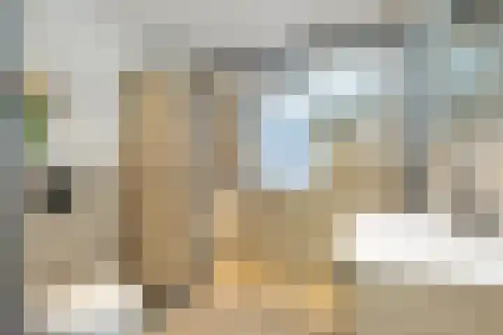 Donizettistraat 16 Capelle aan den IJssel thumbnail 24