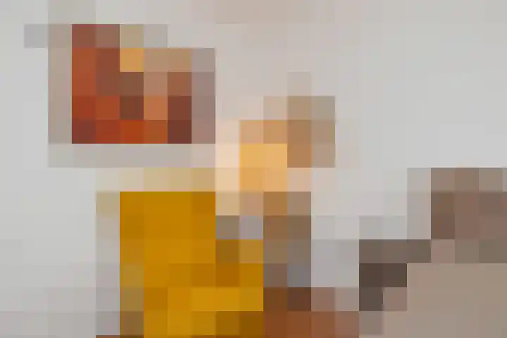 Donizettistraat 16 Capelle aan den IJssel thumbnail 32