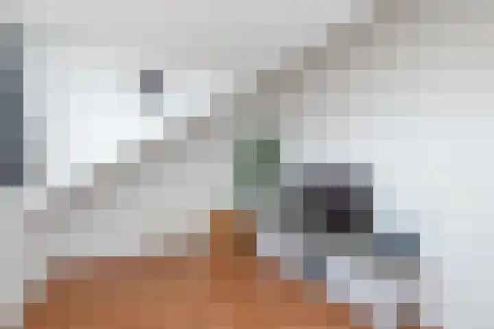 Donizettistraat 16 Capelle aan den IJssel thumbnail 42