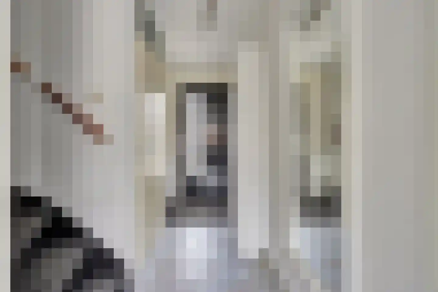 Donizettistraat 18 Capelle aan den IJssel thumbnail 10