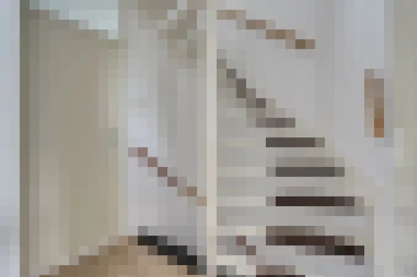 Donizettistraat 18 Capelle aan den IJssel thumbnail 20
