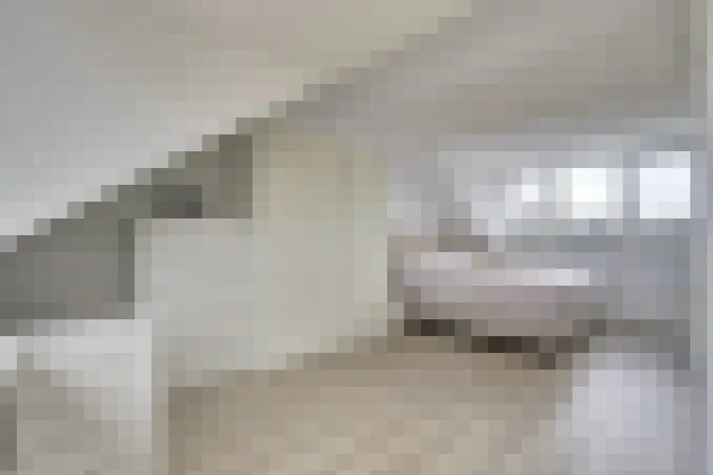 Donizettistraat 18 Capelle aan den IJssel thumbnail 27