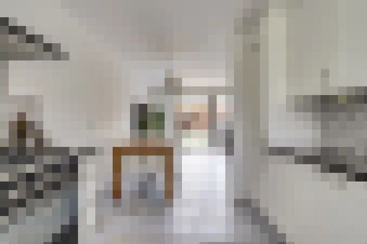 Donizettistraat 18 Capelle aan den IJssel thumbnail 7