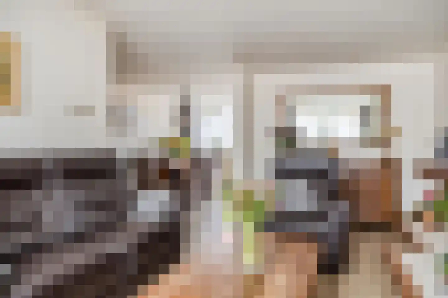 Donizettistraat 31 Tilburg thumbnail 10