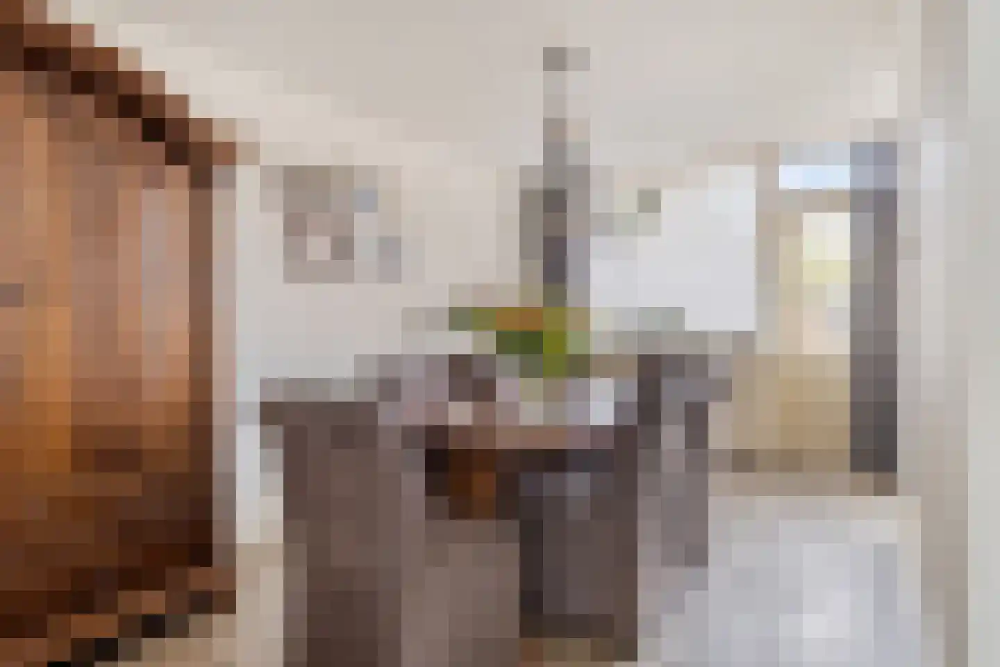 Donizettistraat 31 Tilburg thumbnail 13