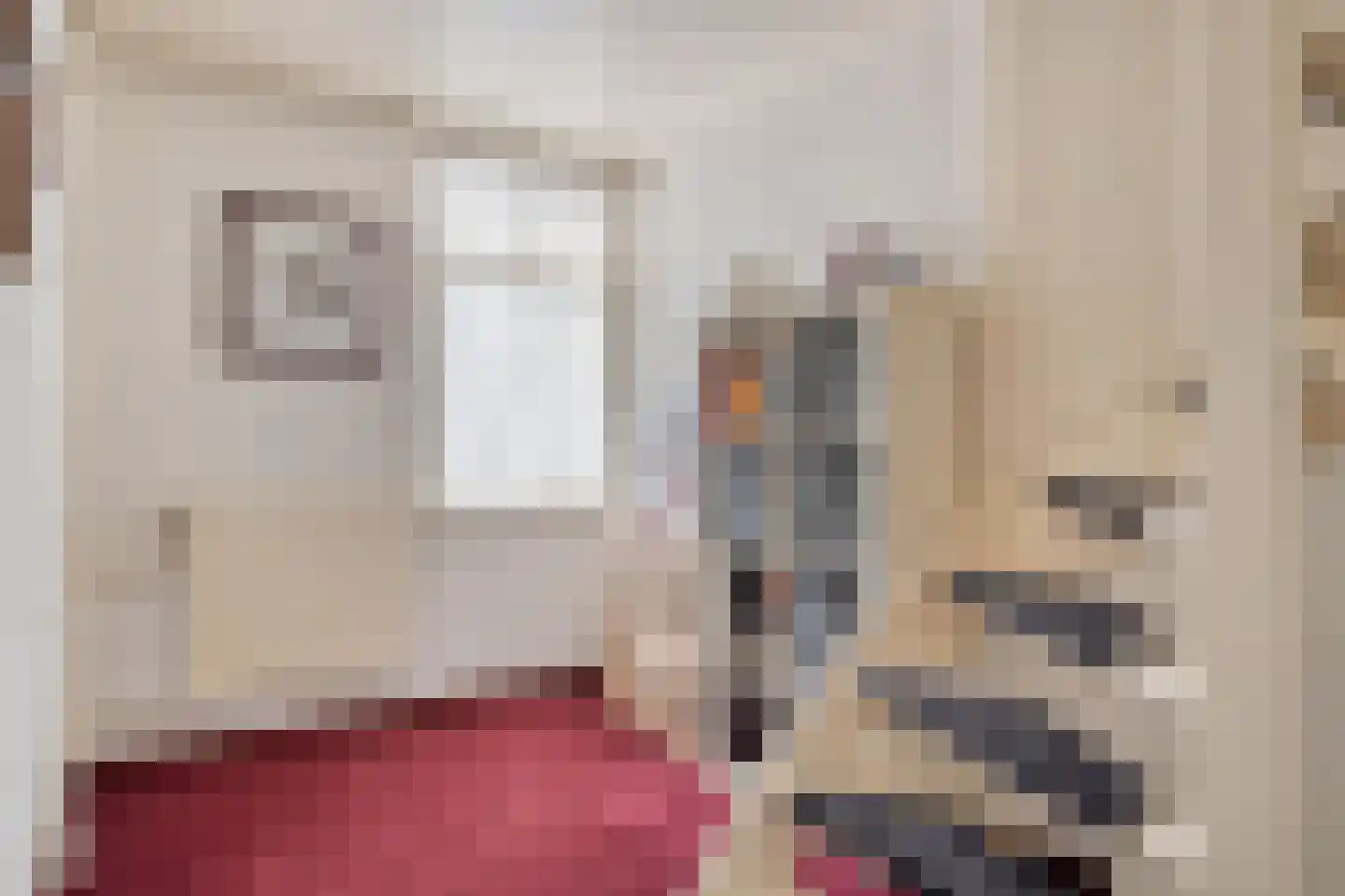Donizettistraat 31 Tilburg thumbnail 20