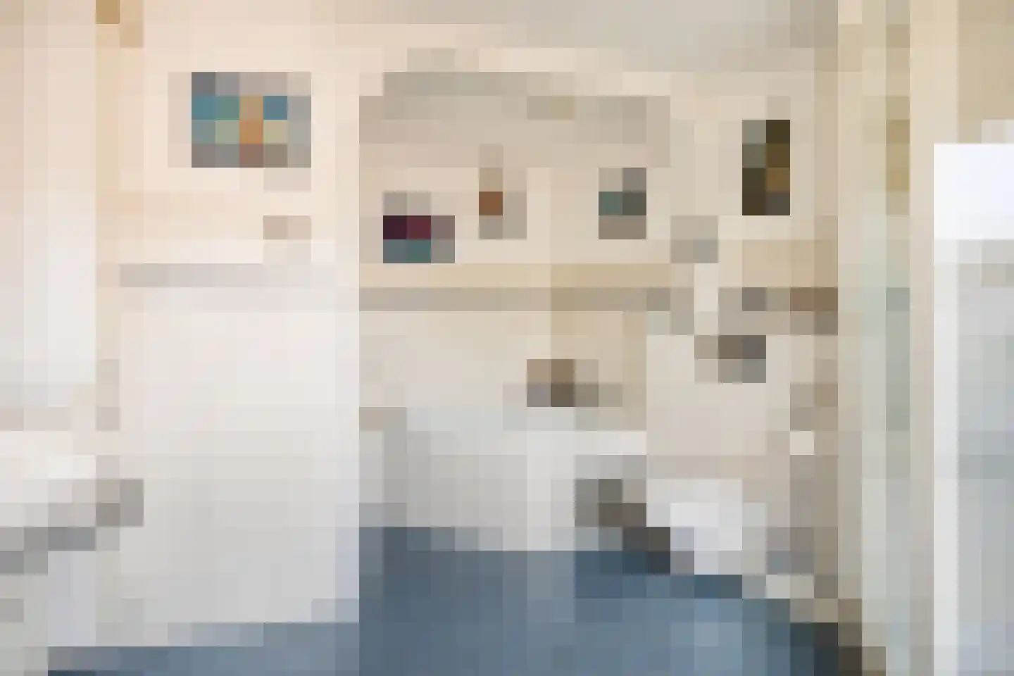 Donizettistraat 31 Tilburg thumbnail 26