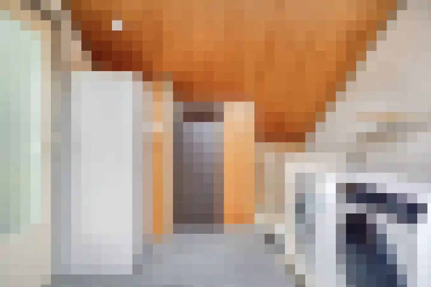 Donizettistraat 31 Tilburg thumbnail 35