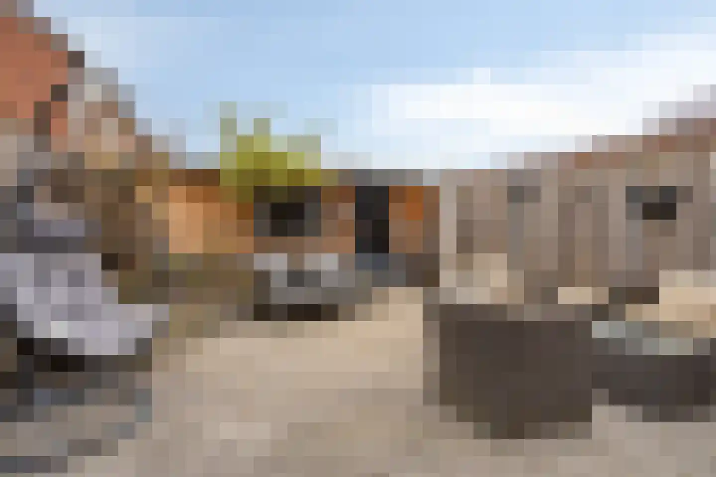 Donizettistraat 31 Tilburg thumbnail 4