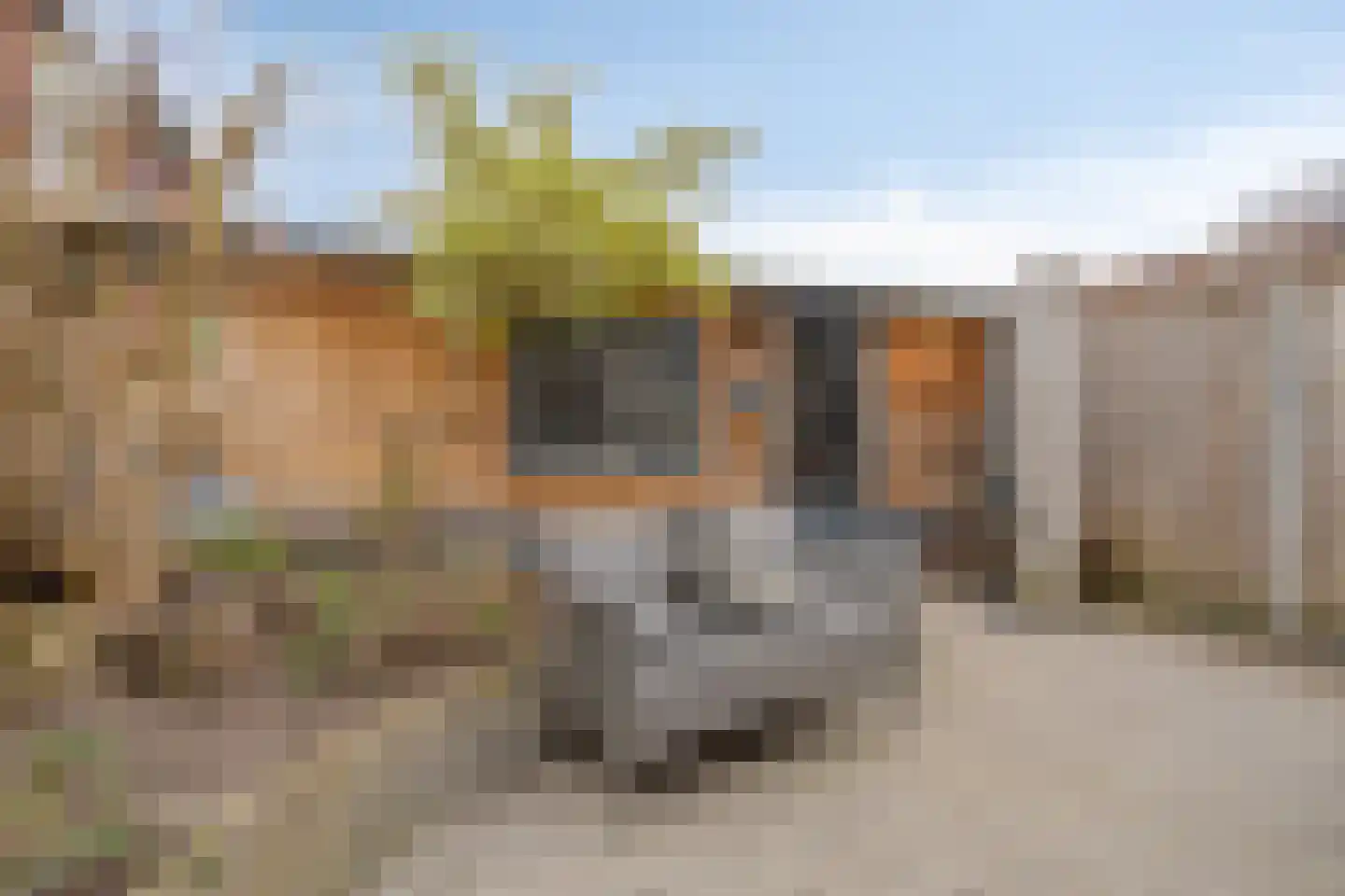 Donizettistraat 31 Tilburg thumbnail 42