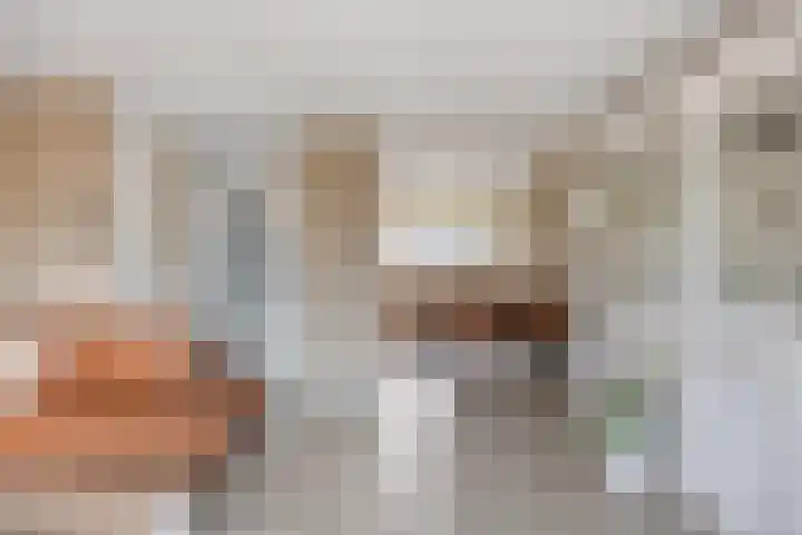Donizettistraat 4 Capelle aan den IJssel thumbnail 10