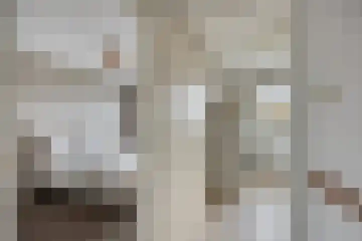 Donizettistraat 4 Capelle aan den IJssel thumbnail 15