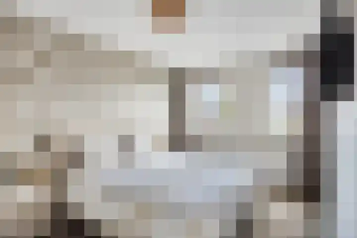 Donizettistraat 4 Capelle aan den IJssel thumbnail 17