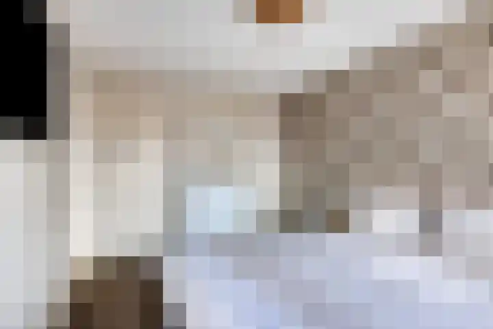 Donizettistraat 4 Capelle aan den IJssel thumbnail 18