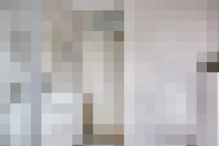 Donizettistraat 4 Capelle aan den IJssel thumbnail 22