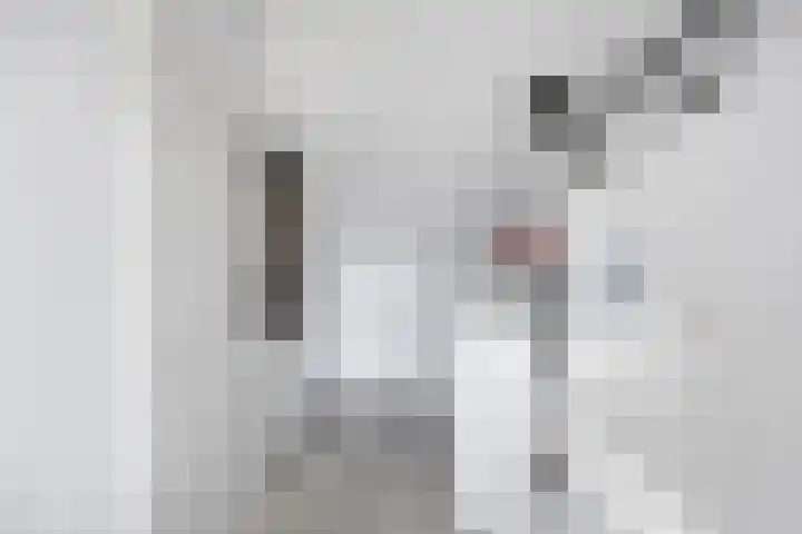 Donizettistraat 4 Capelle aan den IJssel thumbnail 27