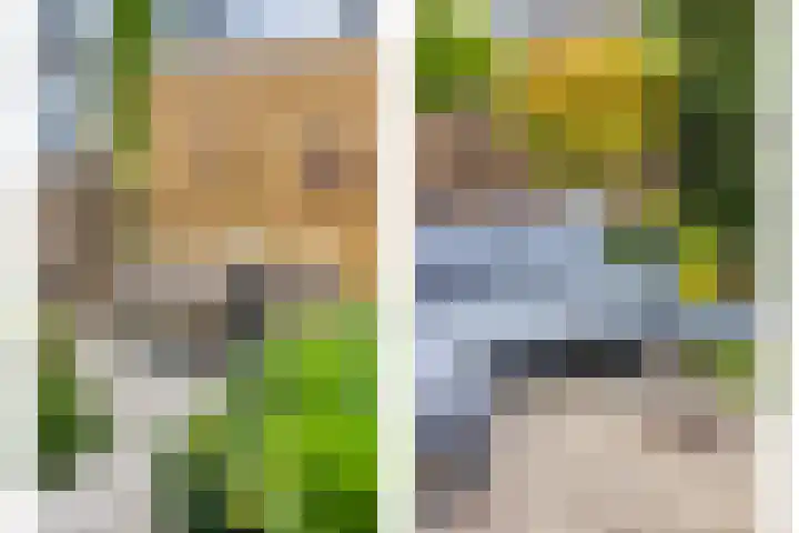 Donizettistraat 4 Capelle aan den IJssel thumbnail 33