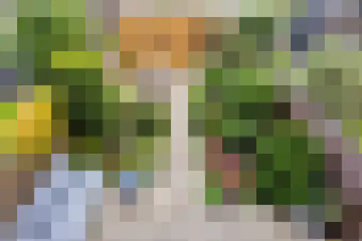 Donizettistraat 4 Capelle aan den IJssel thumbnail 34
