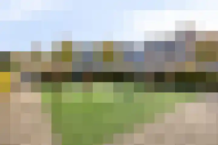 Donizettistraat 4 Capelle aan den IJssel thumbnail 35