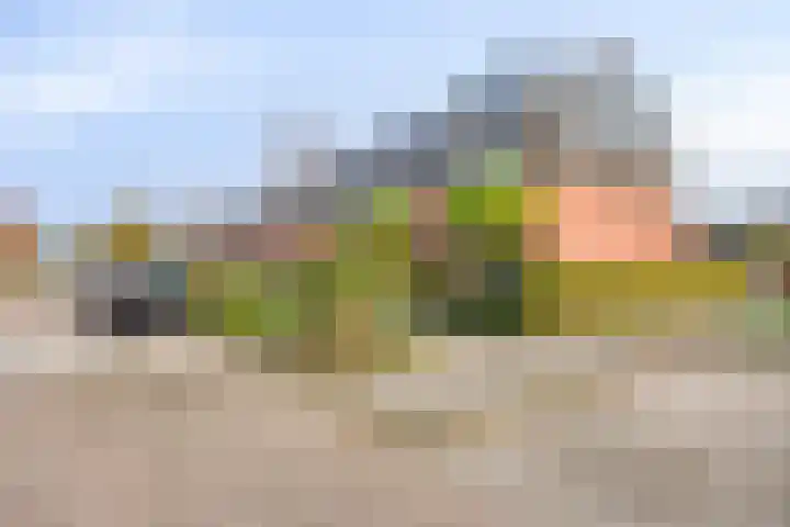 Donizettistraat 4 Capelle aan den IJssel thumbnail 36