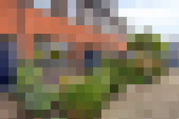 Donizettistraat 4 Capelle aan den IJssel thumbnail 37