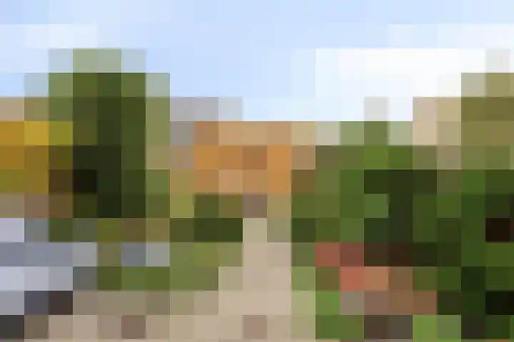 Donizettistraat 4 Capelle aan den IJssel thumbnail 4