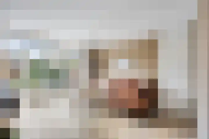 Donizettistraat 4 Capelle aan den IJssel thumbnail 9