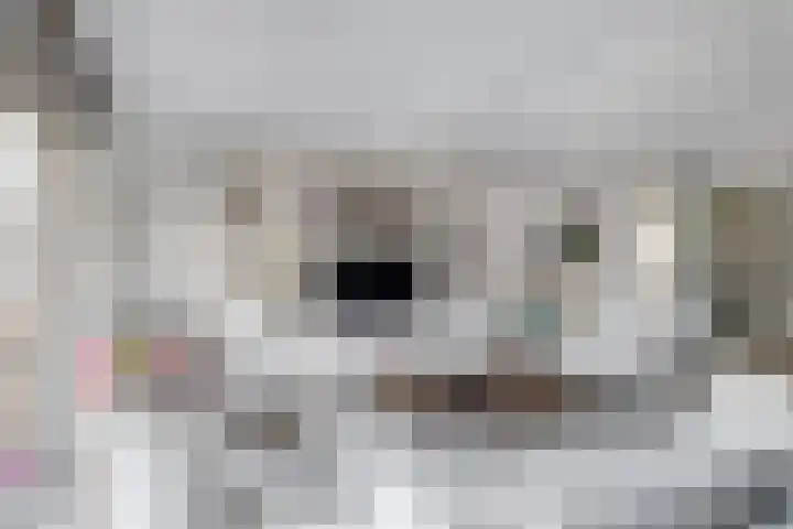 Donizettistraat 40 Capelle aan den IJssel thumbnail 13