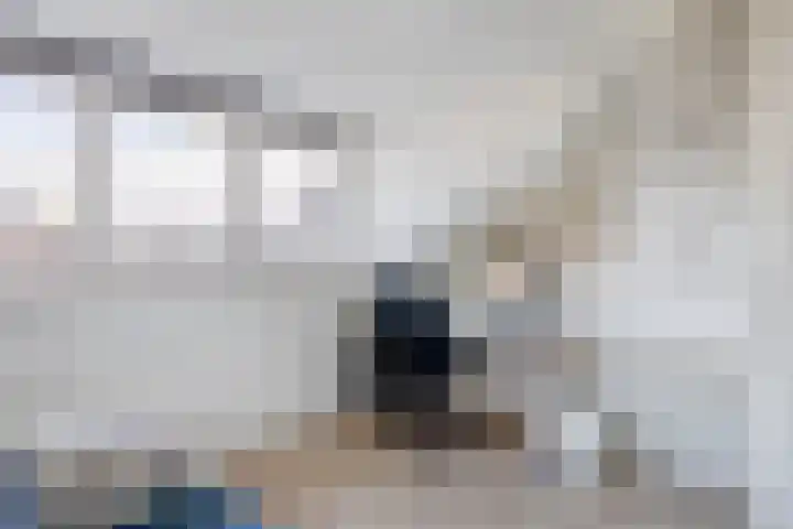 Donizettistraat 40 Capelle aan den IJssel thumbnail 33