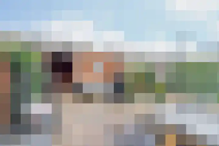 Donizettistraat 40 Capelle aan den IJssel thumbnail 36