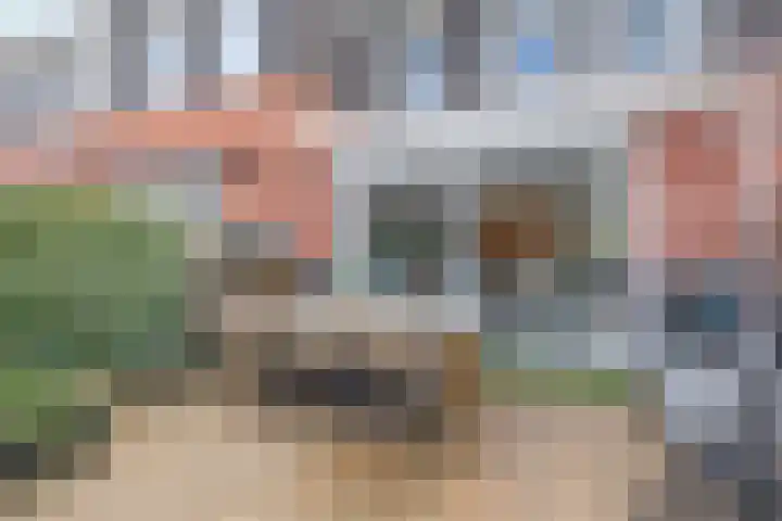 Donizettistraat 40 Capelle aan den IJssel thumbnail 37