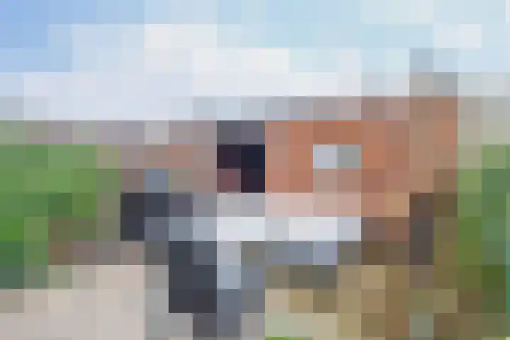 Donizettistraat 40 Capelle aan den IJssel thumbnail 39