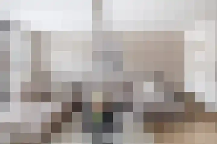 Donizettistraat 42 Capelle aan den IJssel thumbnail 11