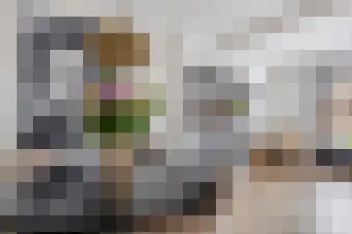 Donizettistraat 42 Capelle aan den IJssel thumbnail 13