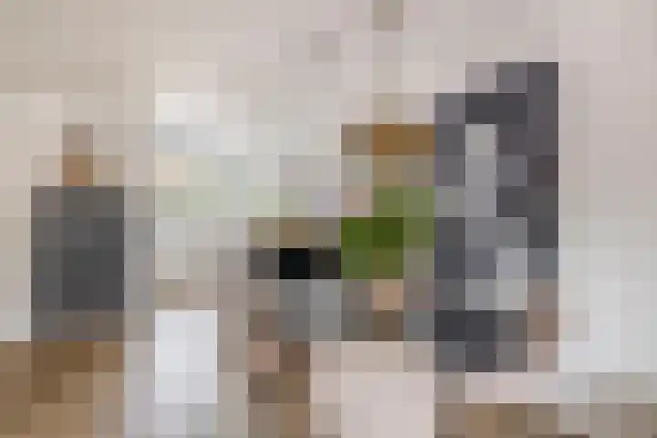 Donizettistraat 42 Capelle aan den IJssel thumbnail 15