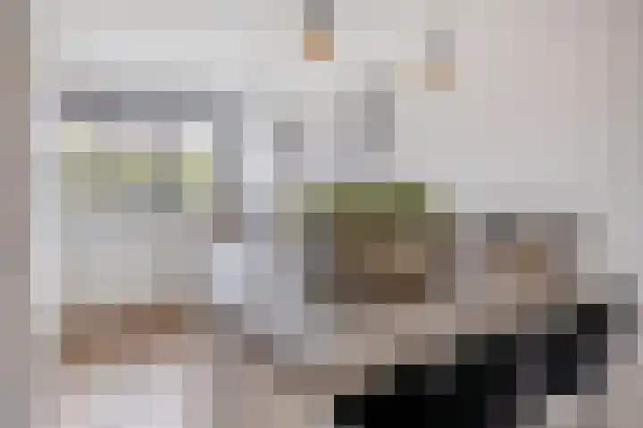 Donizettistraat 42 Capelle aan den IJssel thumbnail 16