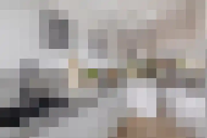 Donizettistraat 42 Capelle aan den IJssel thumbnail 18